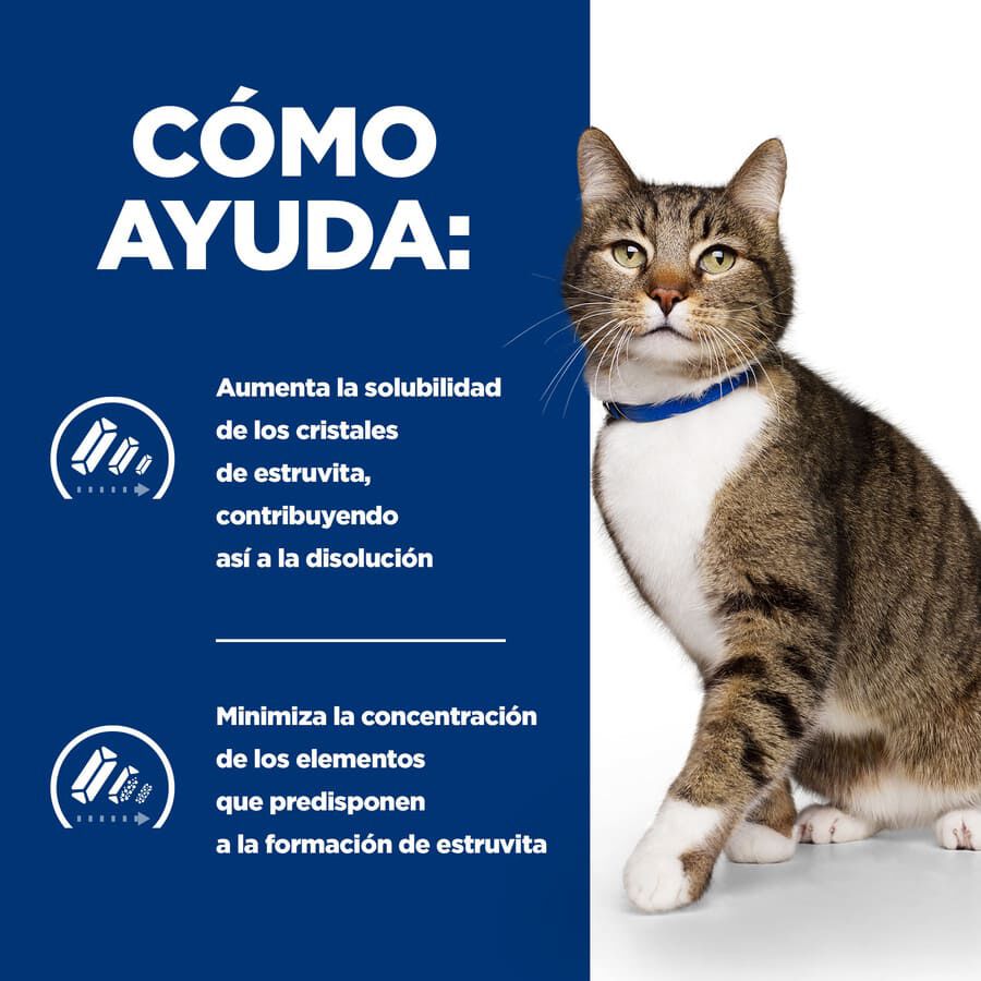 3 kg Hill's Prescription Diet Urinary Care s/d Pollo pienso para gatos, , large indicador imagen numero 4